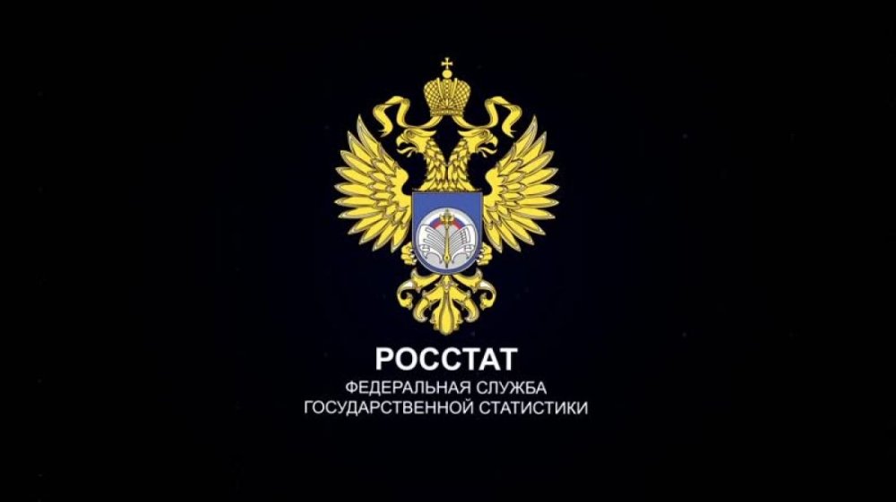 Услуги по сдаче статистической отчетности гостиниц КСР-1 Росстат