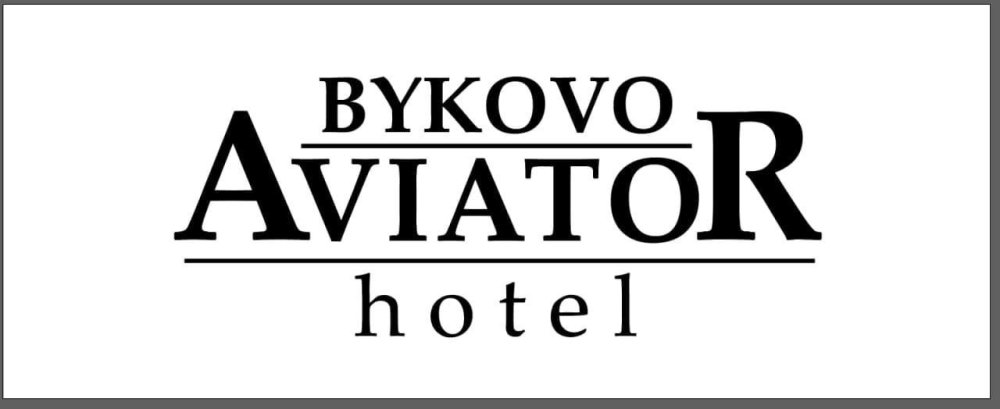 Разработка и запуск сайта для хостела "Авиатор Быково"